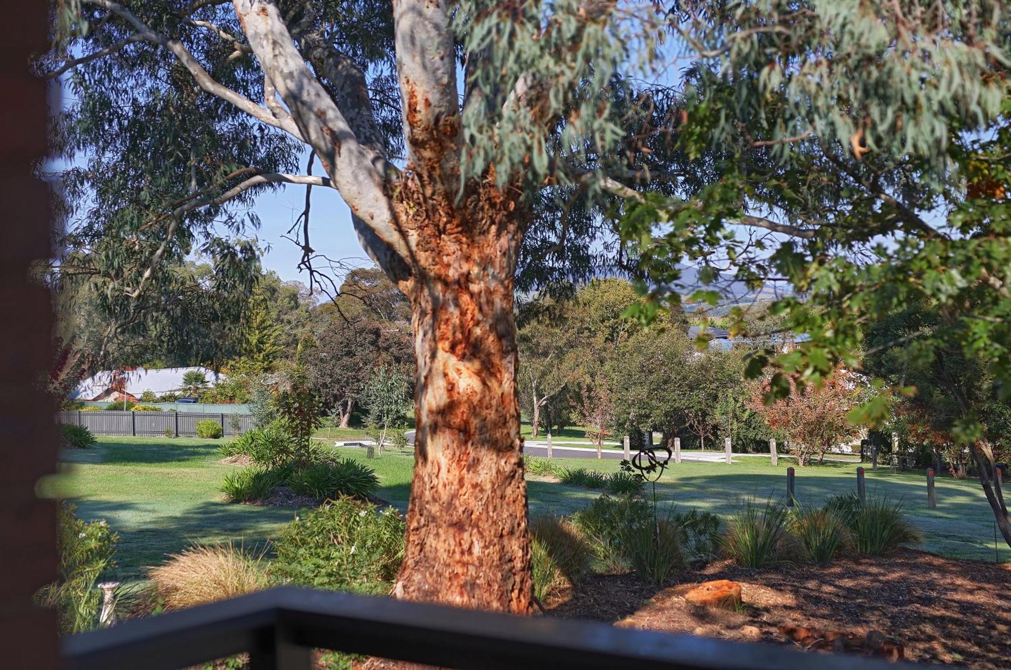 Yarra Gables Motell Healesville Exteriör bild